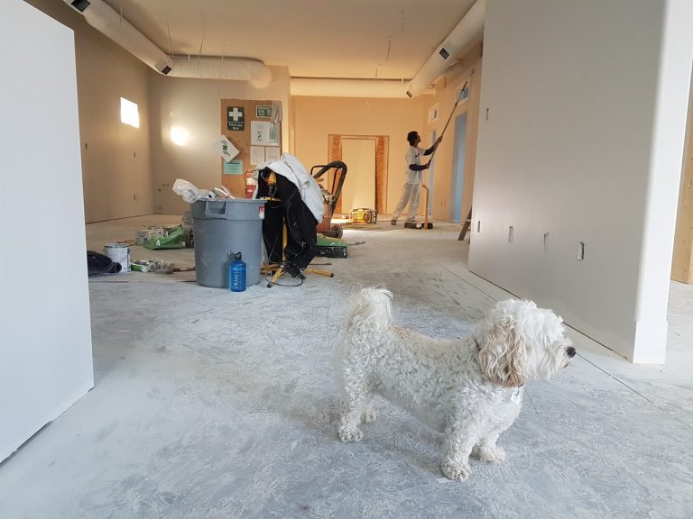 a person remodelling a room in their household