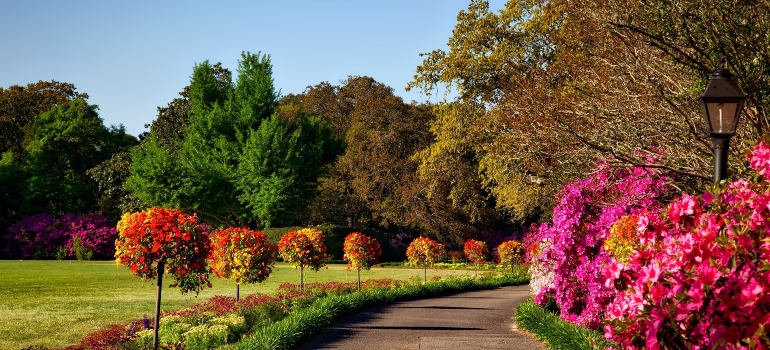 park in spring