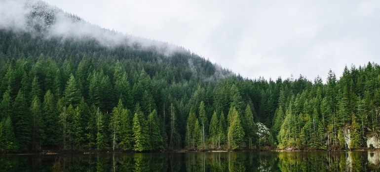 Body of water near forest, Vancouver CA