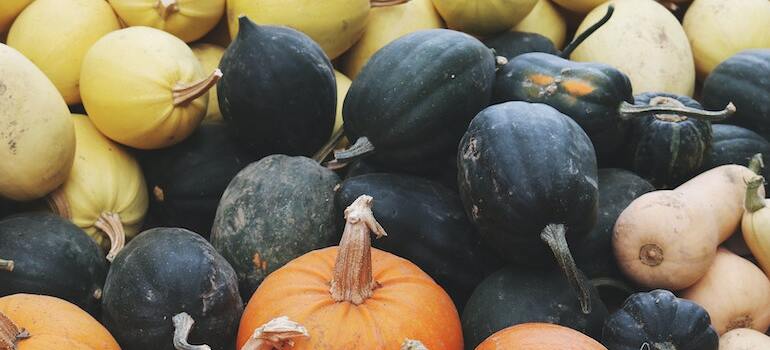 Punpkins of different colours at a stand