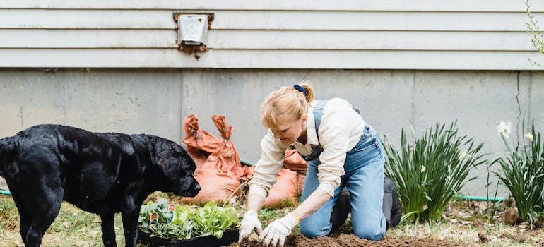 a woman planting the garden to improve Ottawa home curb appeal