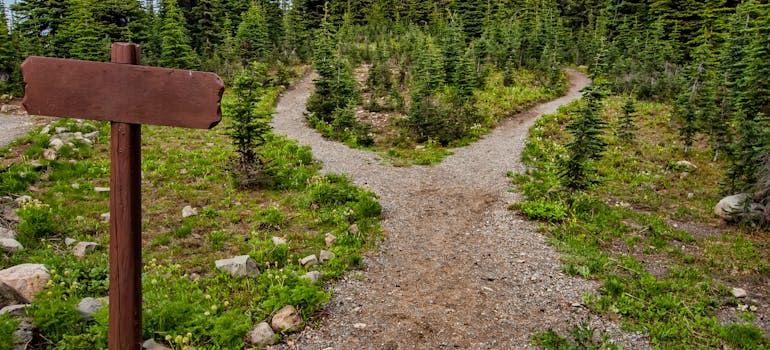 Photo of a pathway