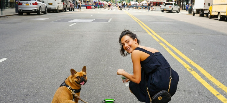 A Woman in Blue Dress and Her Brown Pug