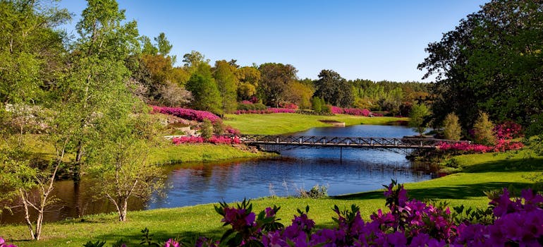 Photo of a park and the water.