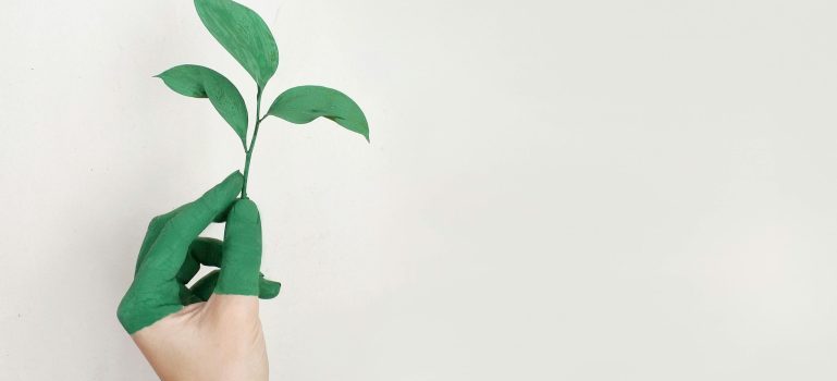 Hand painted in green holding a leaf