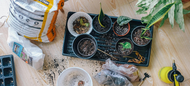 Planting flowers