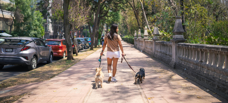 Girl walking with pets