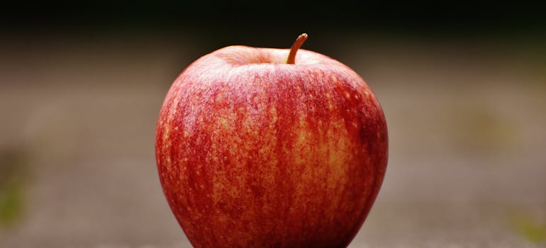 Photo of an apple showing autumn miracles in the Ottawa area
