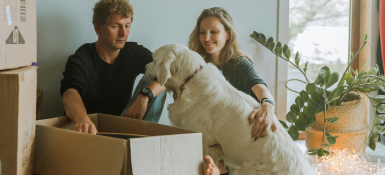 Couple with dog unpacking after moving to Arnprior