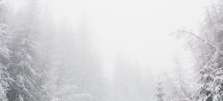 white snowy environment