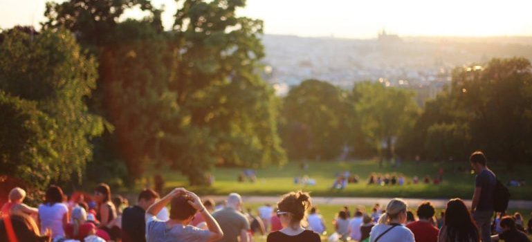 people enjoying in a park 