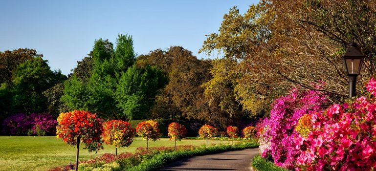 pathway besides flowers and trees in one of the bestparks and recreation areas for families moving to Nepean and Kanata 