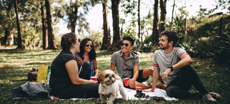 group of people sitting on green grass