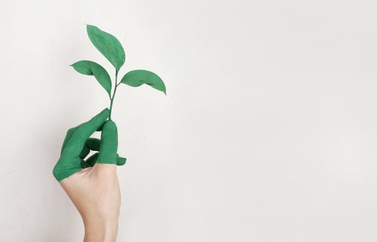 A person holding a green plant, ready to make your move to Kanata eco-friendly