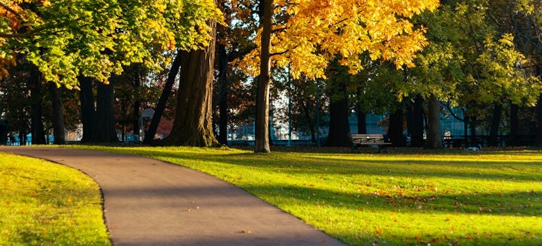 A pathway in a park