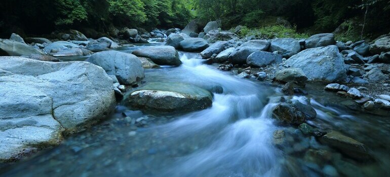 View of a river with rocks surrounding it