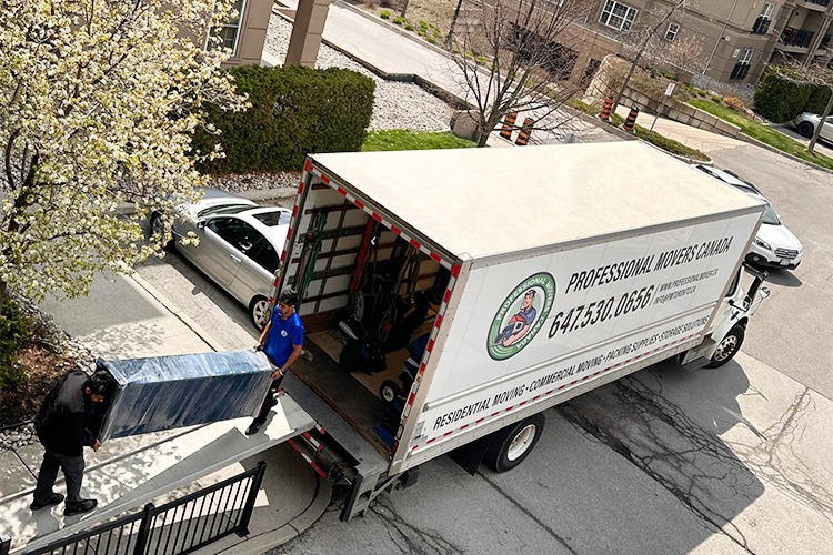 A Same-Building Move We Handled in Ottawa